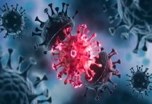 Here is Everything You Should Know about Coronavirus
